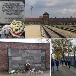 Gedenkstätte Auschwitz-Birkenau